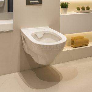 Wall Hung 003 Toilet - Brite Sanitary Ware