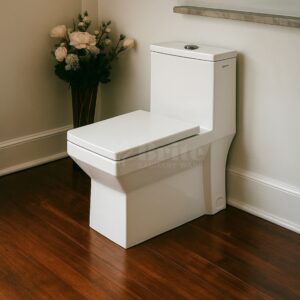 S190 English Toilet - Brite Sanitary Ware