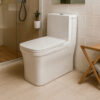 Z20 English Toilet - Brite Sanitary Ware