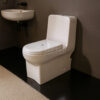 Delta English Toilet - Brite Sanitary Ware