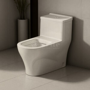 Decent English Toilet - Brite Sanitary Ware