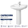 Capricorn Wash Basin Pedestal - Brite Sanitary Ware