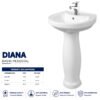 Diana Wash Basin Pedestal - Brite Sanitary Ware