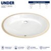 Vanity Under Counter - Brite Sanitary Ware